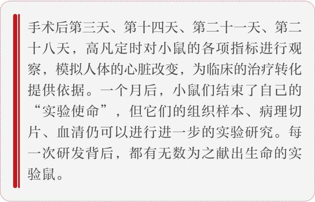 糖尿病鼠磨牙(糖尿病鼠磨牙能治好吗)