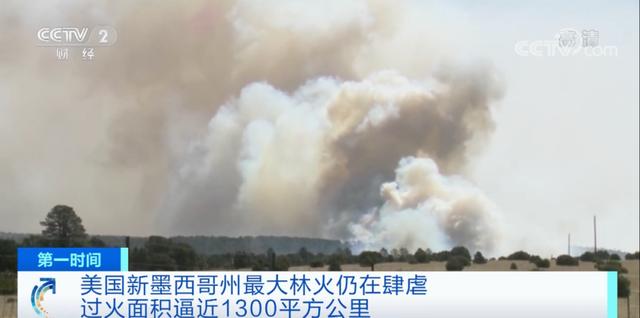 真实的美国森林大火，美国山火烧过的真实图片