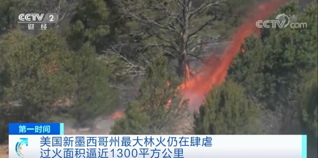 真实的美国森林大火，美国山火烧过的真实图片