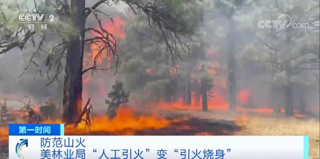 真实的美国森林大火，美国山火烧过的真实图片