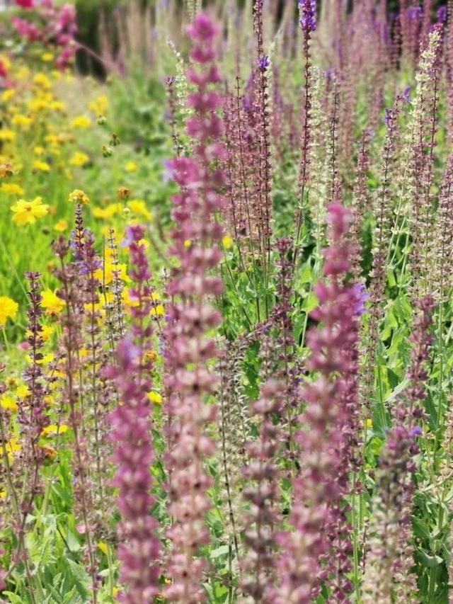 春到人间草木知，春节七律诗