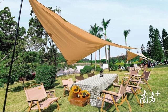 五一假期火了露营，端午假期好去处