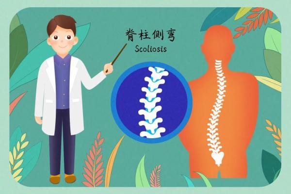 肥胖度14(肥胖度1)