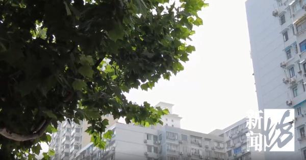 上海历年暴雨记录，强降水即将抵达