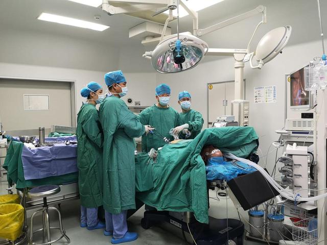 华侨医院肥胖(华侨医院怎样)