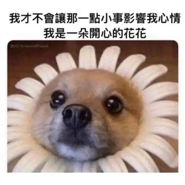 抗氧化类水果排行榜，11种值得尝试的高抗氧化剂食物