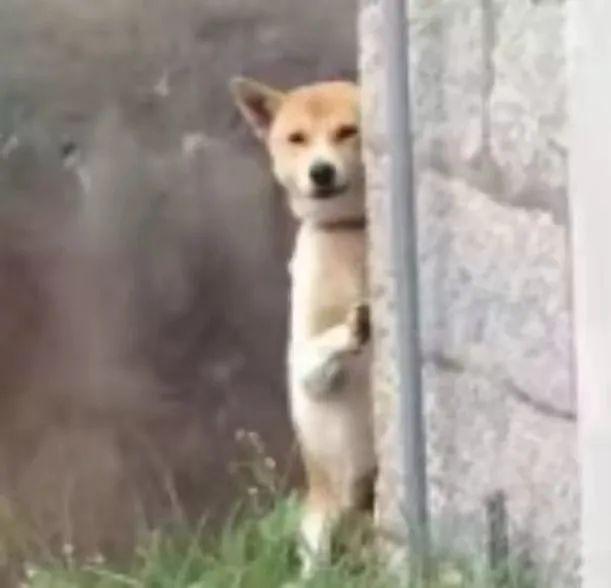 四川风味零食100种，麻辣零食合集