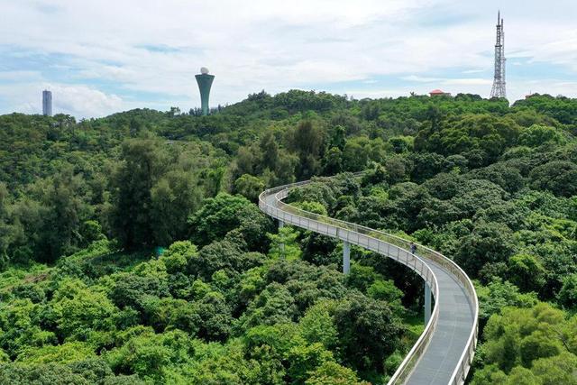 厦门山海健康步道全球唯一，厦门这座桥胜出