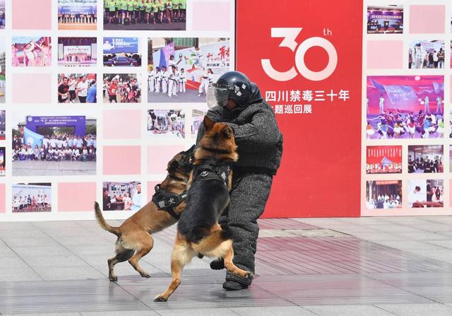 四川禁毒新模式，国际禁毒日丨芳草街街道探索娱乐场所禁毒阵地建设新模式