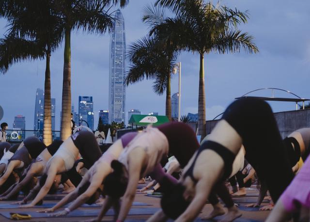 佳沛奇异果旗舰店，佳沛奇异果以美味唤醒活力