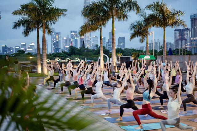 佳沛奇异果旗舰店，佳沛奇异果以美味唤醒活力