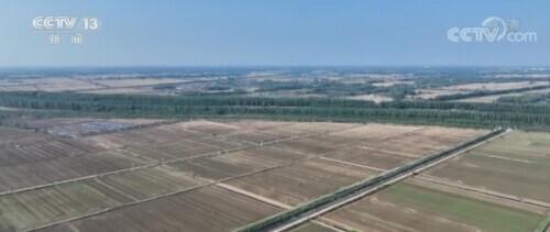 十八亿亩耕地红线，18亿亩耕地红线什么时间划定的（牢牢守住耕地红线）