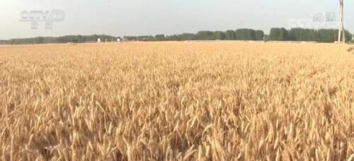 十八亿亩耕地红线，18亿亩耕地红线什么时间划定的（牢牢守住耕地红线）