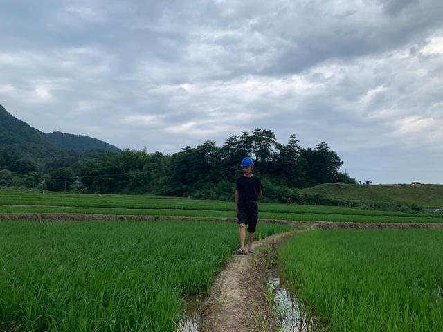 种粮大户利润下降，干旱、成本上涨、人工难请