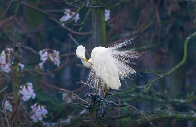 入门级的微单相机哪个好，佳能全画幅微单应该如何选择
