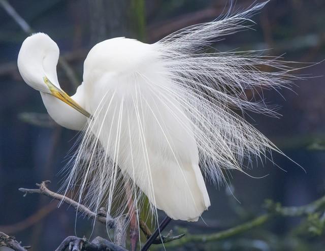 入门级的微单相机哪个好，佳能全画幅微单应该如何选择