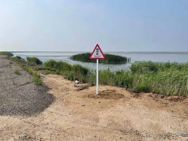 黄河三角洲湿地，黄河最大湿地保护区（黄河三角洲国家级自然保护区）