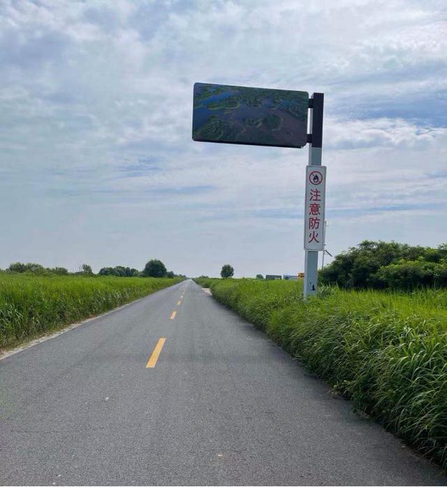 黄河三角洲湿地，黄河最大湿地保护区（黄河三角洲国家级自然保护区）