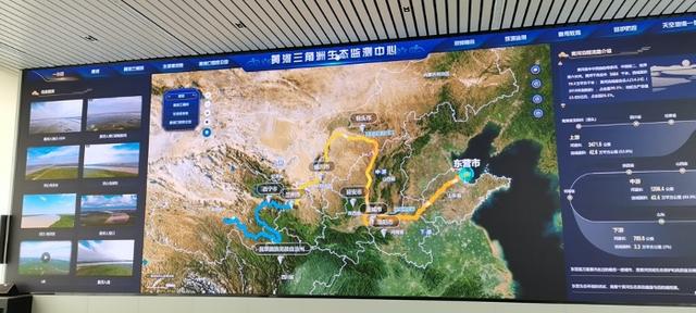 黄河三角洲湿地，黄河最大湿地保护区（黄河三角洲国家级自然保护区）
