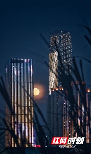 世界上最大最亮的超级月亮，今晚你拍到了全年最大的超级月亮吗