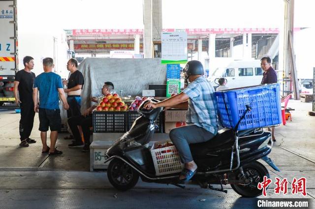 实拍南宁水果批发市场，批发市场水果交易忙