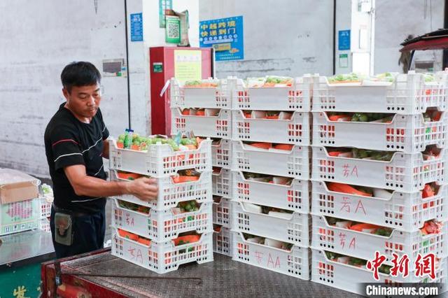 实拍南宁水果批发市场，批发市场水果交易忙