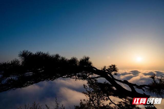 岳麓山什么地方适合看日出，长沙3个看日出的好地方