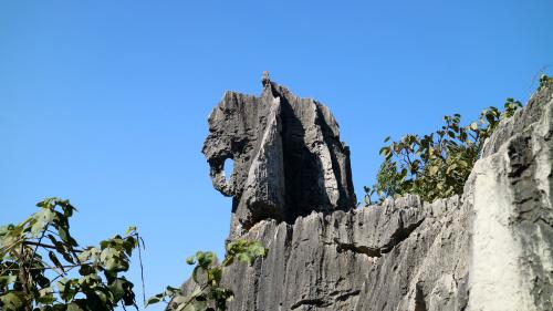  石林旅游攻略必去景点免费，云南昆明 石林旅游攻略