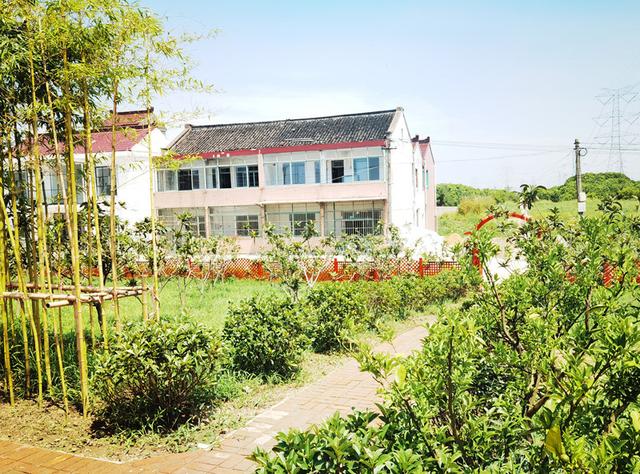 奉贤南上海发展论坛，第一届“新江南文化与新城建设”高峰论坛“奉贤”而来