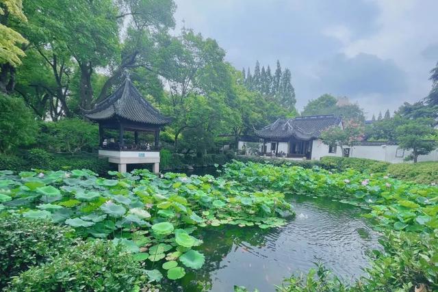 上海曲水园在什么路上，上海曲水园将于8月1日起免费开放
