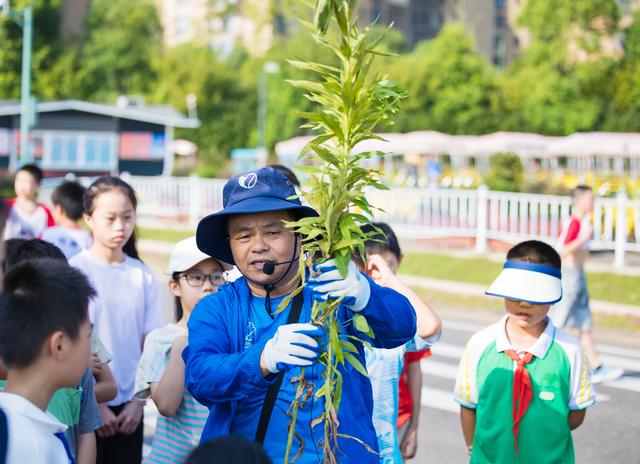 长沙松雅湖生态公园面积，长沙松雅湖生态公园概念规划