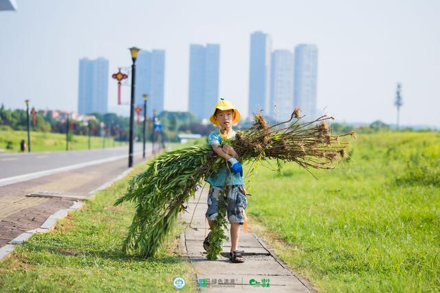 长沙松雅湖生态公园面积，长沙松雅湖生态公园概念规划