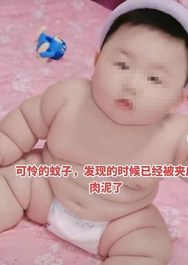 肥胖的蚊子(胖蚊子和瘦蚊子的故事)