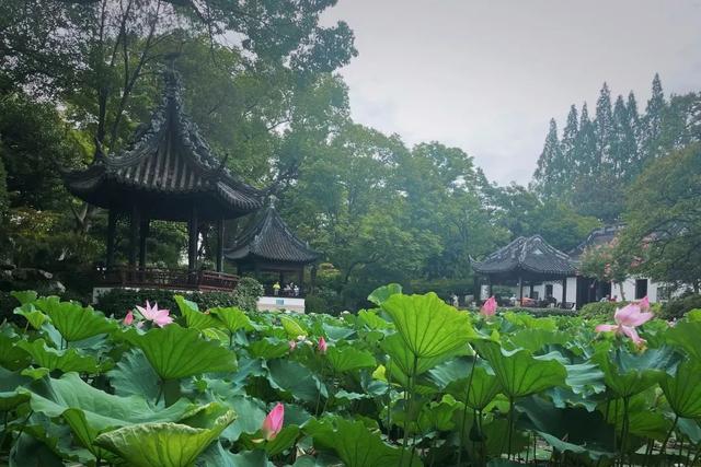 上海曲水园在什么路上，上海曲水园将于8月1日起免费开放