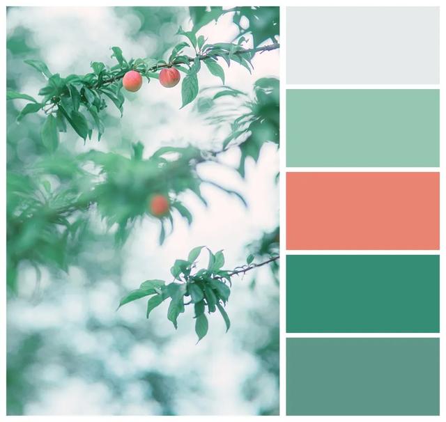 色卡烘烤以后还可以用吗，用色卡的方式打开天大夏日