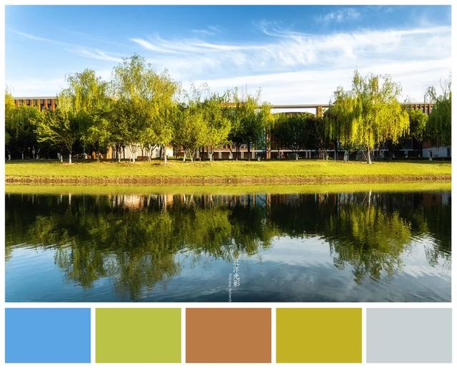 色卡烘烤以后还可以用吗，用色卡的方式打开天大夏日