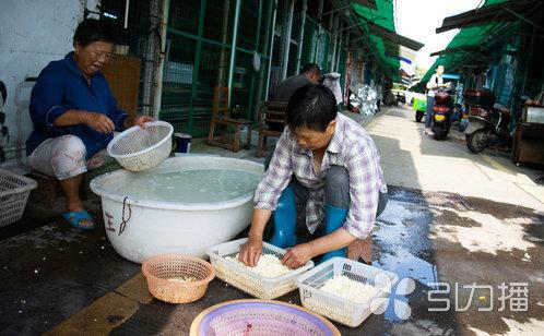 什么季节吃芡实比较好，酷暑时节正飘香