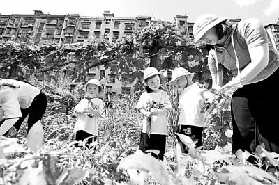 阅读障碍是什么原因引起，也许是这种“病”在作祟