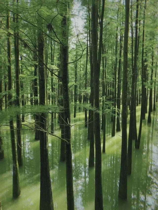 杭州的灵山幻境游记，这座藏在杭州名气背后的小山城