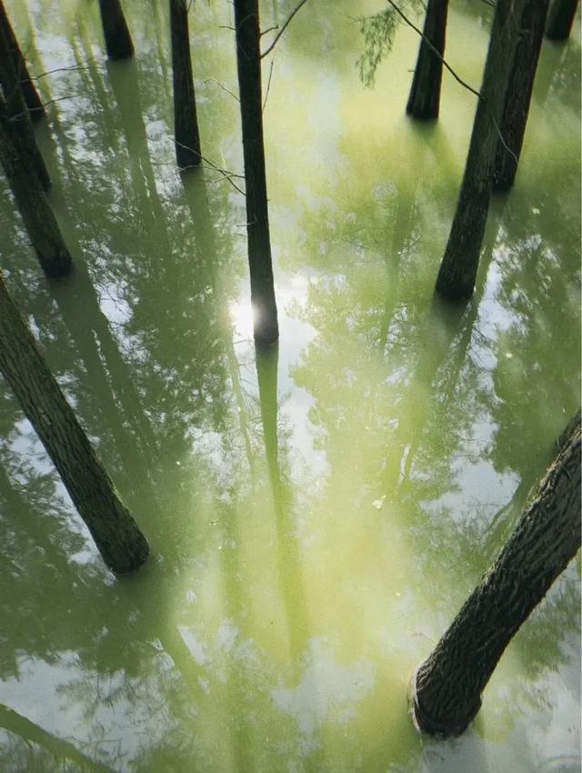 杭州的灵山幻境游记，这座藏在杭州名气背后的小山城