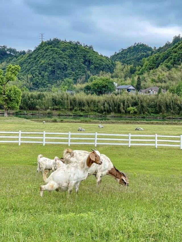 杭州的灵山幻境游记，这座藏在杭州名气背后的小山城
