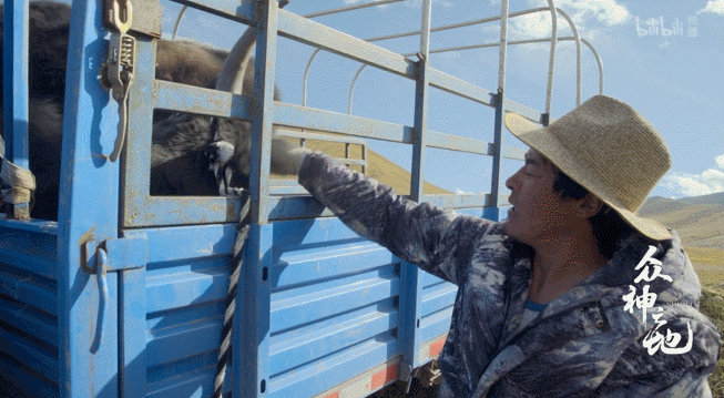 9.8分哭着看完的纪录片，看完这部纪录片我庆幸生在中国