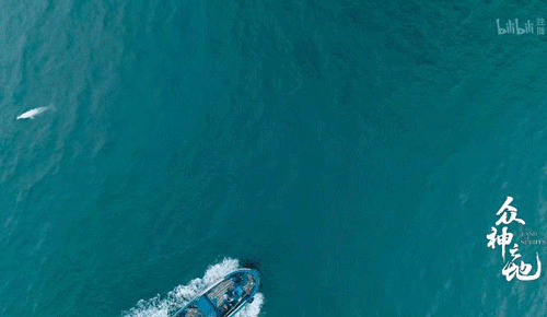 9.8分哭着看完的纪录片，看完这部纪录片我庆幸生在中国