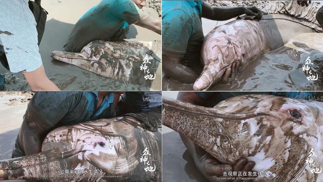 9.8分哭着看完的纪录片，看完这部纪录片我庆幸生在中国