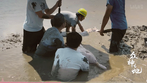 9.8分哭着看完的纪录片，看完这部纪录片我庆幸生在中国