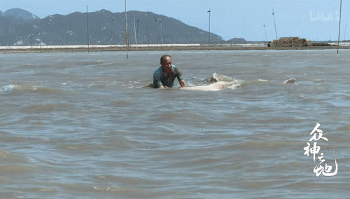 9.8分哭着看完的纪录片，看完这部纪录片我庆幸生在中国