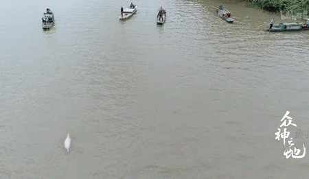 9.8分哭着看完的纪录片，看完这部纪录片我庆幸生在中国