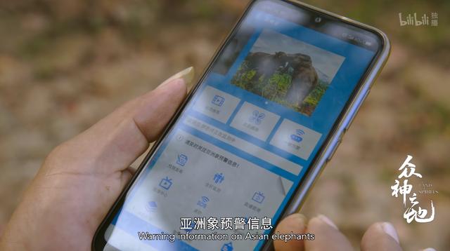 9.8分哭着看完的纪录片，看完这部纪录片我庆幸生在中国