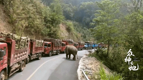 9.8分哭着看完的纪录片，看完这部纪录片我庆幸生在中国