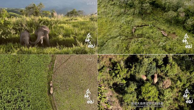 9.8分哭着看完的纪录片，看完这部纪录片我庆幸生在中国